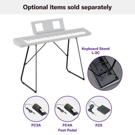 Electronic Musical Instruments - Options - Stand