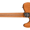 0972013211_fen_ins_bck_1_rl Fender Limited Edition American Acoustasonic™ Telecaster®