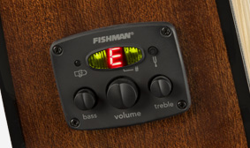 FISHMAN® PREAMP AND TUNER
