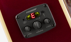 Fishman Preamp and Tuner