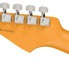 0113900719_fen_ins_hbk_1_nr Fender American Professional II Stratocaster