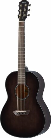 a black and brown guitar