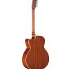 ABT60CE-8SHB-Back-3_4TIF a wooden violin with a long neck
