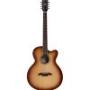 ABT60CE-8SHB-Front a brown acoustic guitar