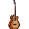 ABT60CE-8SHB-Front-3_4 a brown acoustic guitar