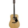 AD60-Front-2 Alvarez Artist AD60