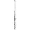 AZ3SRBEO Azumi AZ3SRBEO Professional Flute