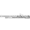 AZ3SRBEO2-e1517434899597 Azumi AZ3SRBEO Professional Flute