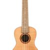 FM-C-front-157×157 Lanikai Flame Maple Concert Ukulele