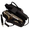 MX304CT-3T Alto Saxophone MAX Case - Contoured (Black)