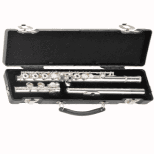 SKB Flute Case