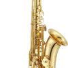 image-2 FSO Student Tenor Sax-Special Purchase
