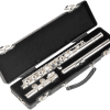 skbfluteopen SKB Flute Case