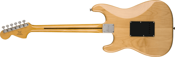 a guitar with a small speaker