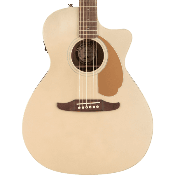 Fender Newporter Player