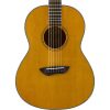 CSF1M_VintageNatural_f_0001_f_cabbc8f967fb6c530c0fed2ff7727c78_PP a close-up of a guitar