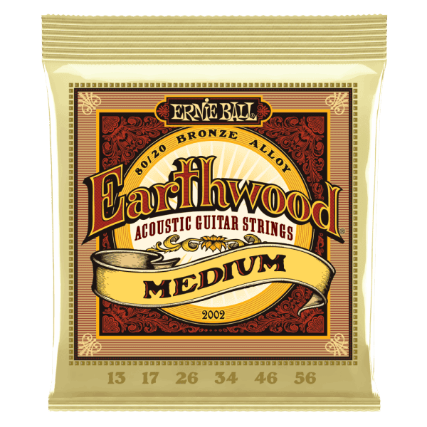 Ernie Ball Earthwood 80/20 Bronze Acoustic