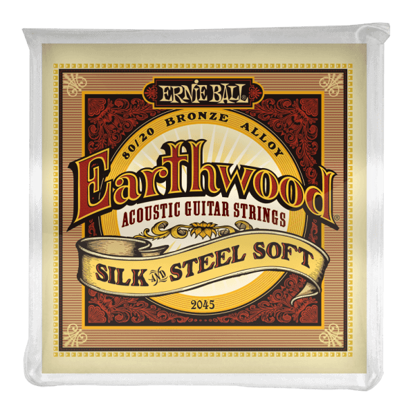 Ernie Ball Earthwood 80/20 Bronze Acoustic