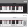 NP-12B-10-colorvariations a black and white keyboard