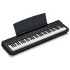 P-121B-01-basic a black computer component