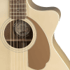 fender-newporter-1 Fender Newporter Player
