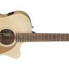 image-10 Fender Newporter Player