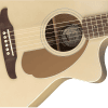 image-11 Fender Newporter Player
