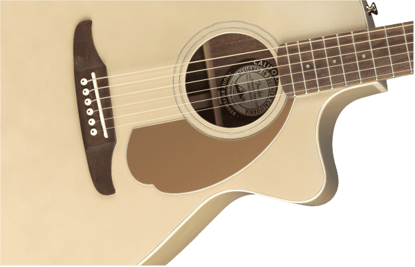 Fender Newporter Player