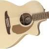 image-12 Fender Newporter Player