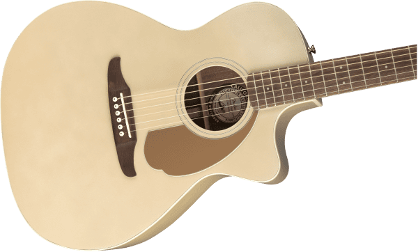 Fender Newporter Player