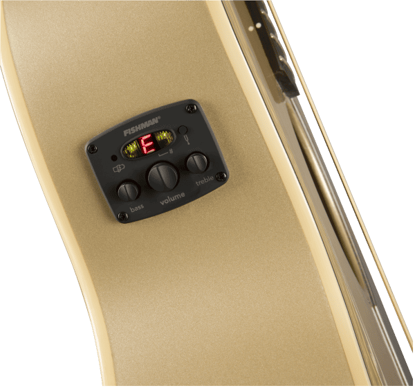 Fender Newporter Player