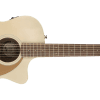 image-8 Fender Newporter Player