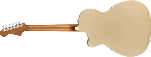 Fender Newporter Player