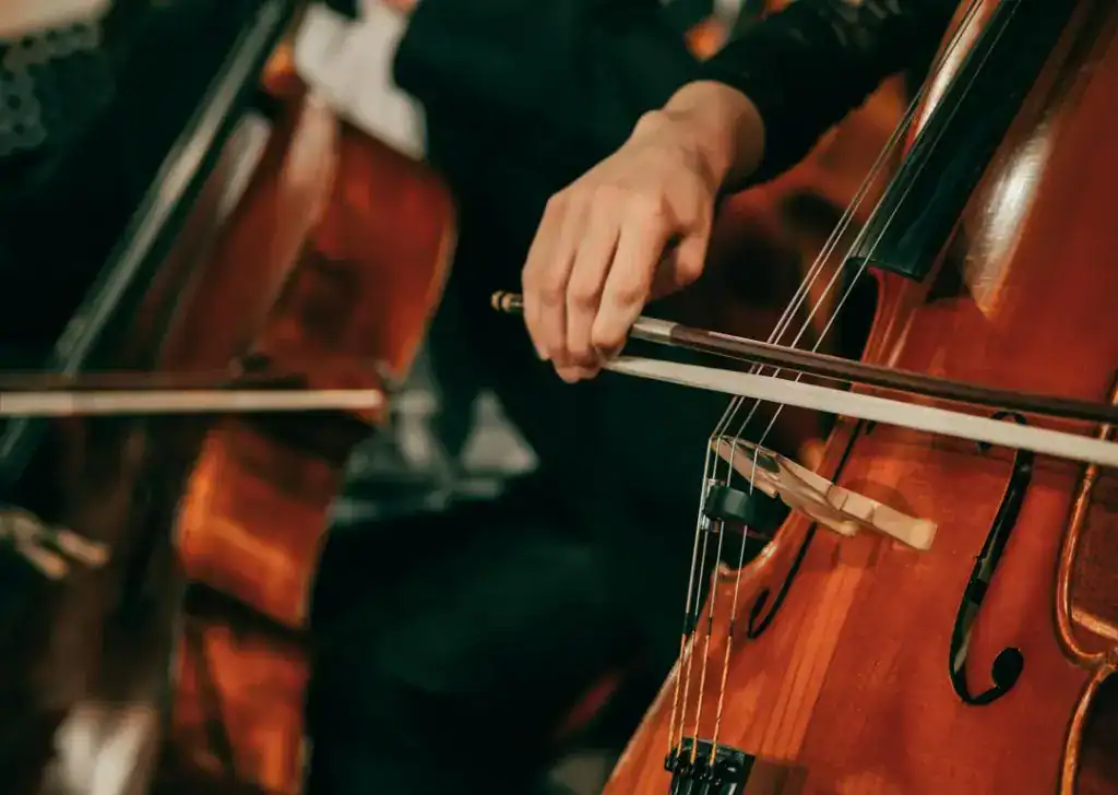 Top Tips for Band & Orchestra Instrument Care