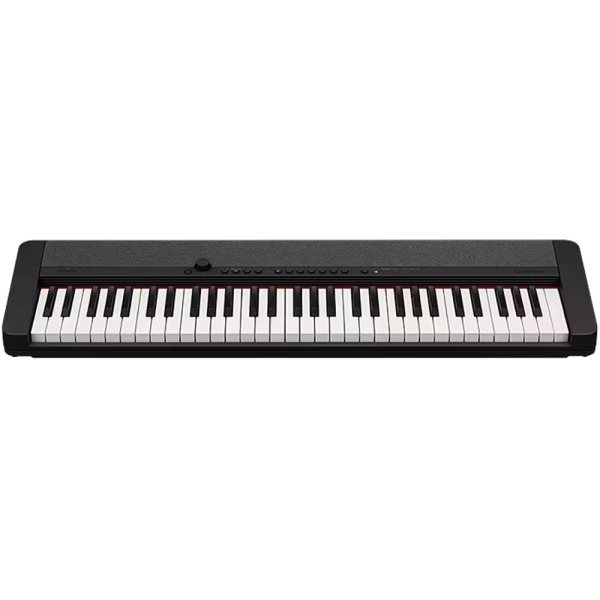 Casio CTS-1 Portable Keyboard