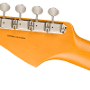 0116502723_fen_ins_hbk_1_nr Lincoln Brewster Stratocaster®