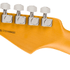 0171010760_fen_ins_hbk_1_nr Fender Limited Edition American Professional II Stratocaster® Thinline