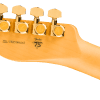 0171022703_fen_ins_hbk_1_nr Fender 75th Anniversary American Professional Custom Telecaster®
