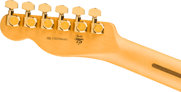 Fender 75th Anniversary American Professional Custom Telecaster®