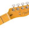 0171022726_fen_ins_hft_1_nr Fender Limited Edition American Professional II Telecaster® Thinline