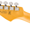 0173900756_fen_ins_hbk_1_nr Fender Limited Edition American Professional II Stratocaster®