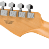 0266220571_fen_ins_hbk_1_nr Fender Standard Stratocaster®