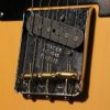 mgdmjb9nicpleetpghwq Fender 1951 Nocaster® DLX Closet Classic