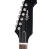 EIGCDG335PENH1_hs Epiphone Dave Grohl DG-335