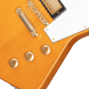 IGCKEXWANAGH1_knobs Epiphone 1958 Korina Explorer