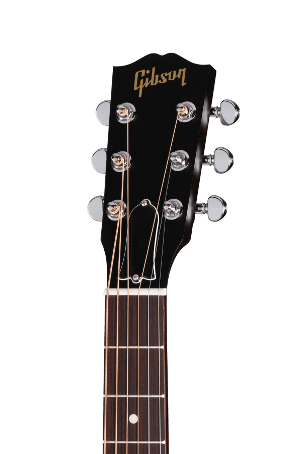 Gibson L-00 Special