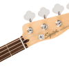 Paranormal Precision Bass® Thinline SJ