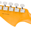 0111820700_fen_ins_hbk_1_nr Fender American Professional Jaguar®