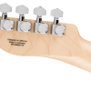 0262310580_fen_ins_hbk_1_nr Fender John 5 Ghost Telecaster®