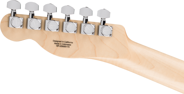 Fender John 5 Ghost Telecaster®